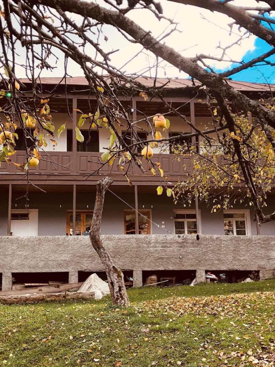 Mushkudiani Manor Hotell Mestia Eksteriør bilde